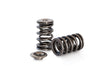 SEADOO VALVE SPRING AND TI RETAINER SET - AFR Autoworks