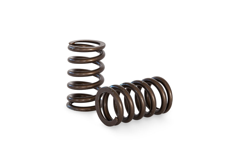 NISSAN RB26 HIGH PERFORMANCE SPRING SET
