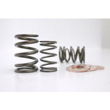 HONDA B18/B20B DUAL VALVE SPRING SET