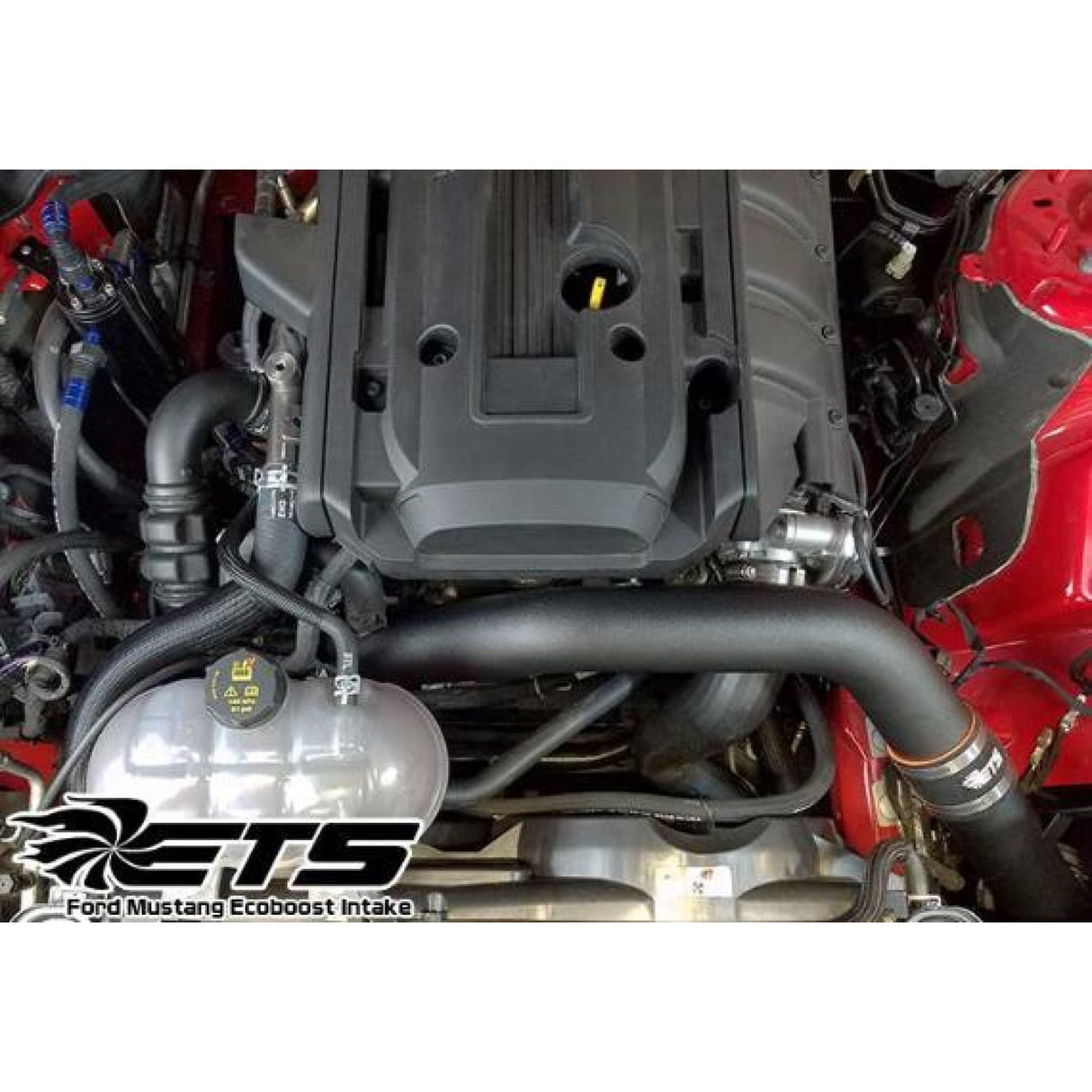 ETS Ford Mustang Ecoboost Intake Upgrade 2015+ - AFR Autoworks